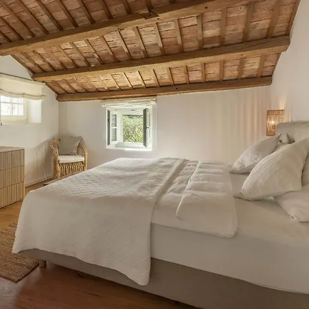 Private Istrian Cipresso With Pool & Garden , Peaceful Countryside Retreat ヴィラ
